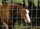 動物のエンクロージャの農場の塀のゲート/牛牛は塀0.6-2.5mの高さにパネルをはめます サプライヤー