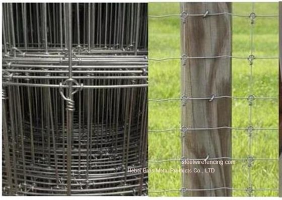 中国 電流を通された牧草地の牛鉄条網は/牧草地のための結び目によって編まれたシカの塀を修理しました サプライヤー
