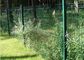 粉によって吹きかけられる曲がる深緑色の鉄条網を囲う曲げられた金属の庭の網 サプライヤー