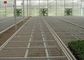 腐敗証拠によって電流を通される鉄条網は温室の実生植物のベッドのための耐久財にパネルをはめます サプライヤー