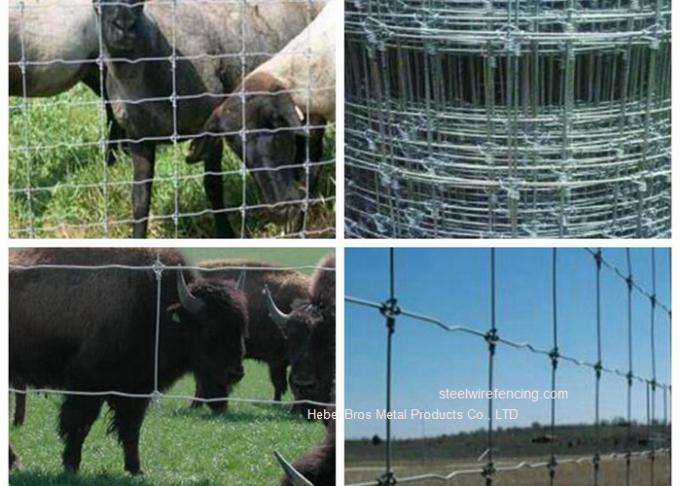 電流を通された牧草地の牛鉄条網は/牧草地のための結び目によって編まれたシカの塀を修理しました